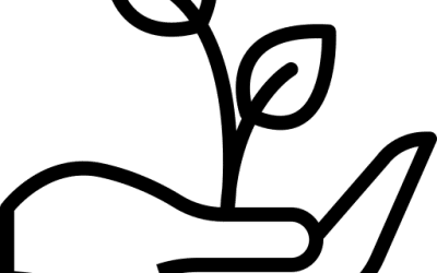 Practical Tips for Using Estradiol Gel, Cream, or Patch