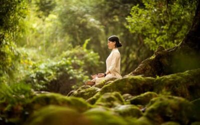 Rewiring Habits for Optimum Health: How to Shift Your Habit Field