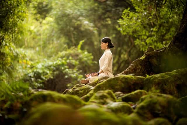 Rewiring Habits for Optimum Health: How to Shift Your Habit Field